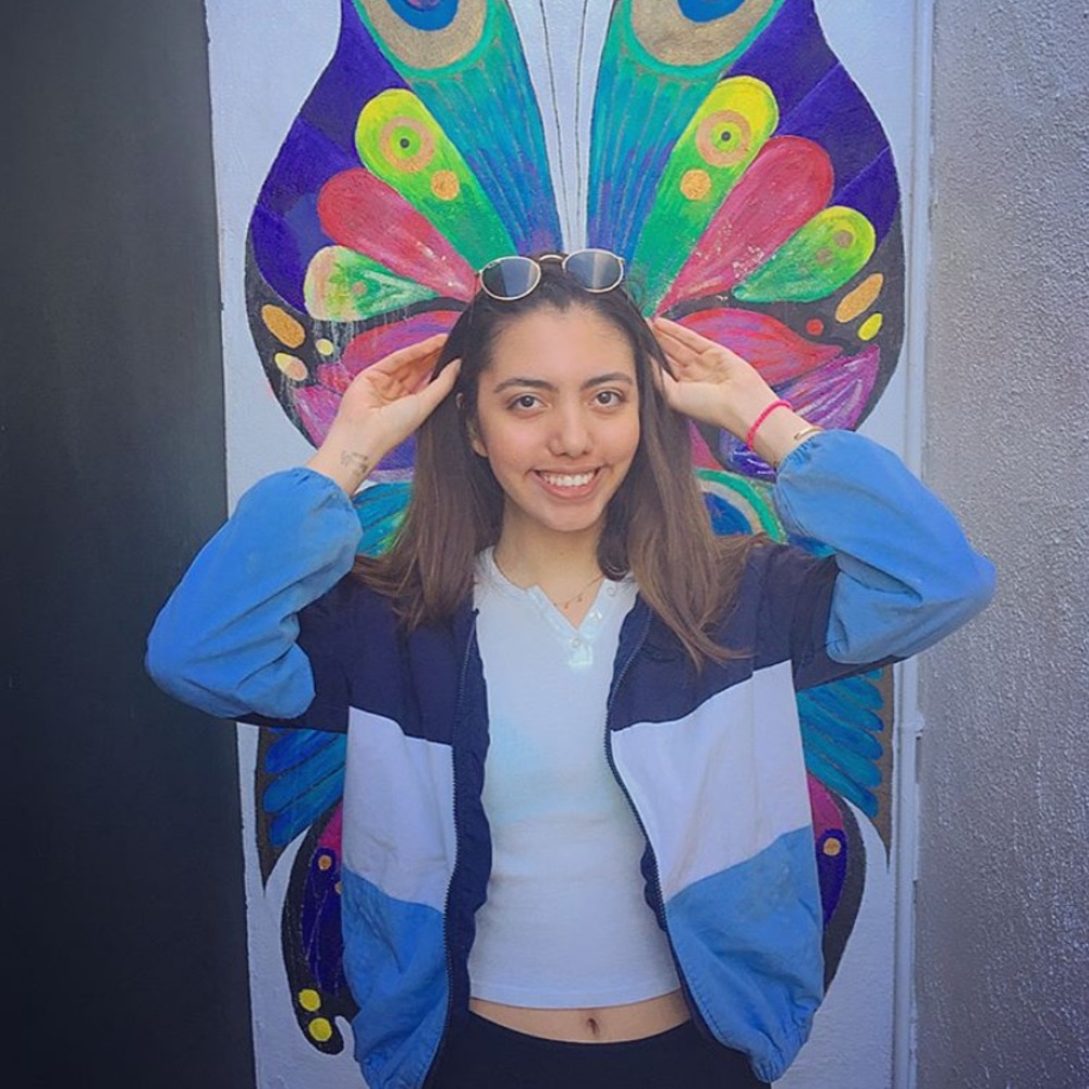 Brandy Melville Windbreaker
